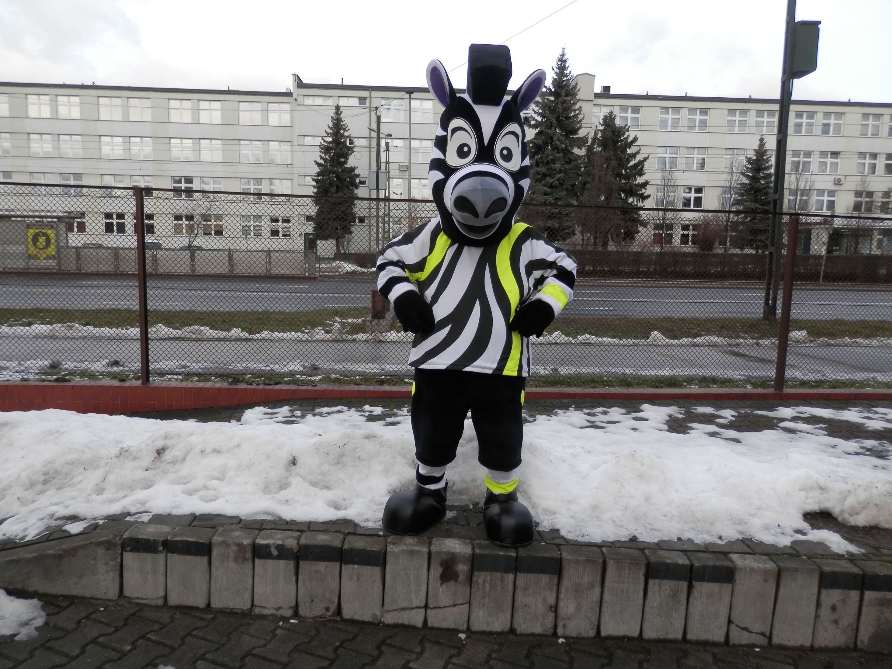 Na fotografii widnieje strój w postaci zebry pozujący na śniegu w zimowej scenografii obok siedziby firmy Elabika